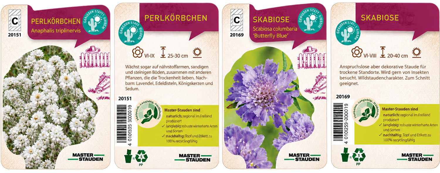 Musteretiketten Perlkörbchen und Skabiose